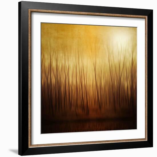 Ghost Forest-Philippe Sainte-Laudy-Framed Photographic Print