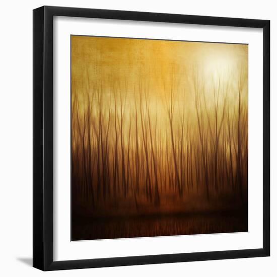 Ghost Forest-Philippe Sainte-Laudy-Framed Photographic Print