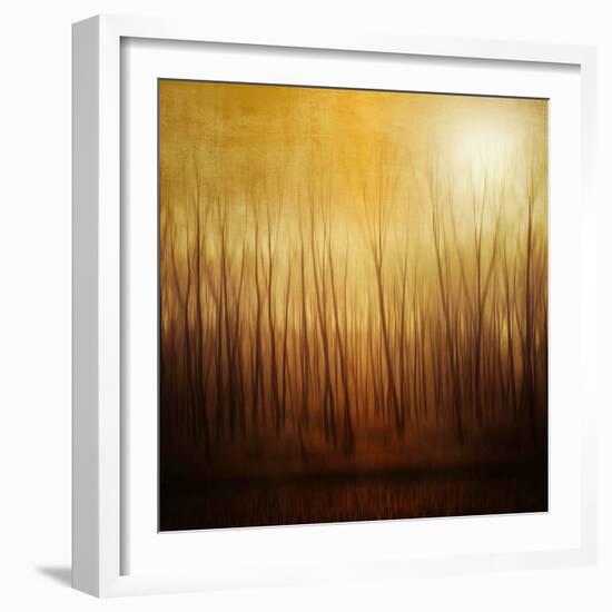 Ghost Forest-Philippe Sainte-Laudy-Framed Photographic Print