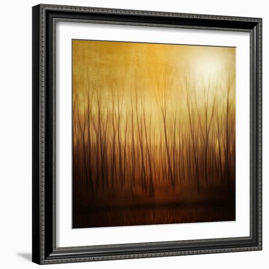 Ghost Forest-Philippe Sainte-Laudy-Framed Photographic Print