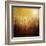 Ghost Forest-Philippe Sainte-Laudy-Framed Premium Photographic Print