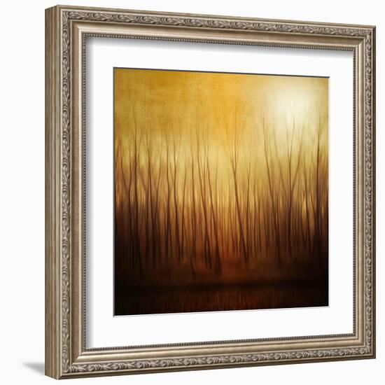 Ghost Forest-Philippe Sainte-Laudy-Framed Premium Photographic Print