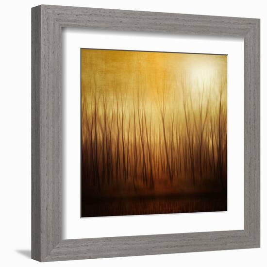 Ghost Forest-Philippe Sainte-Laudy-Framed Premium Photographic Print