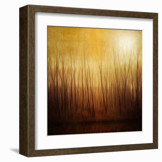 Ghost Forest-Philippe Sainte-Laudy-Framed Premium Photographic Print