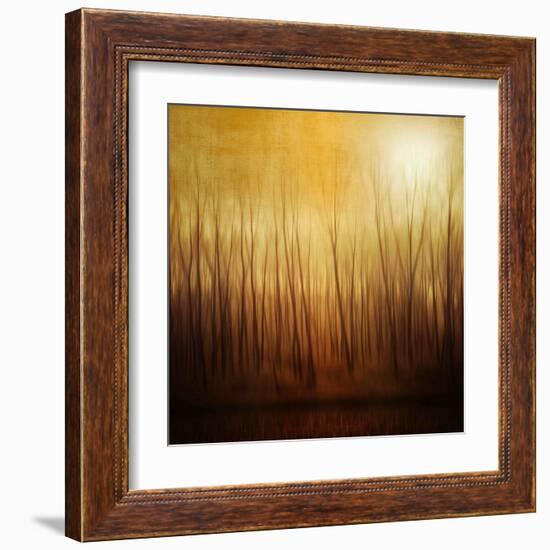 Ghost Forest-Philippe Sainte-Laudy-Framed Premium Photographic Print