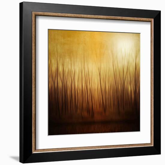 Ghost Forest-Philippe Sainte-Laudy-Framed Premium Photographic Print