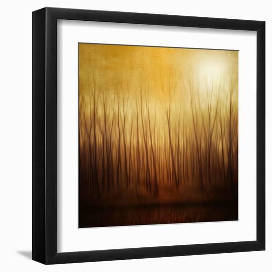 Ghost Forest-Philippe Sainte-Laudy-Framed Premium Photographic Print