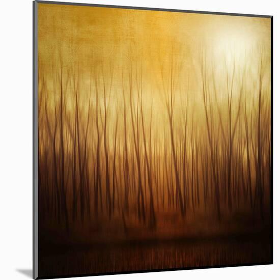 Ghost Forest-Philippe Sainte-Laudy-Mounted Premium Photographic Print