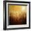 Ghost Forest-Philippe Sainte-Laudy-Framed Premium Photographic Print