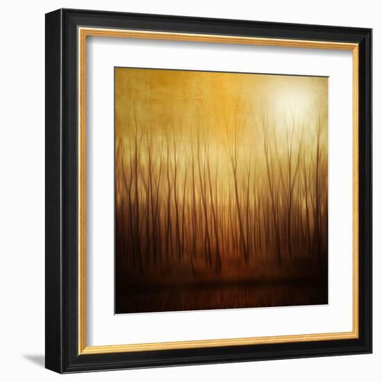 Ghost Forest-Philippe Sainte-Laudy-Framed Premium Photographic Print