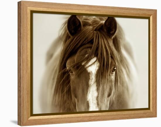 Ghost Horse-Lisa Dearing-Framed Premier Image Canvas