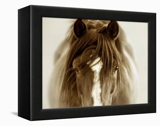 Ghost Horse-Lisa Dearing-Framed Premier Image Canvas