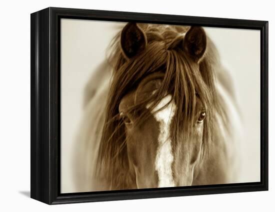 Ghost Horse-Lisa Dearing-Framed Premier Image Canvas