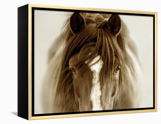 Ghost Horse-Lisa Dearing-Framed Premier Image Canvas
