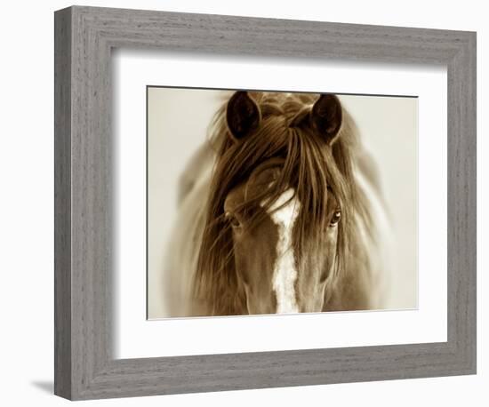 Ghost Horse-Lisa Dearing-Framed Photographic Print