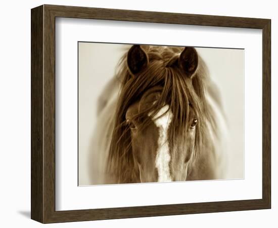 Ghost Horse-Lisa Dearing-Framed Photographic Print