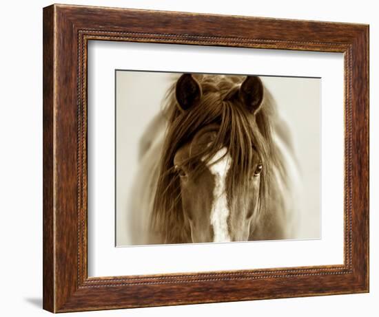 Ghost Horse-Lisa Dearing-Framed Photographic Print