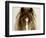 Ghost Horse-Lisa Dearing-Framed Photographic Print