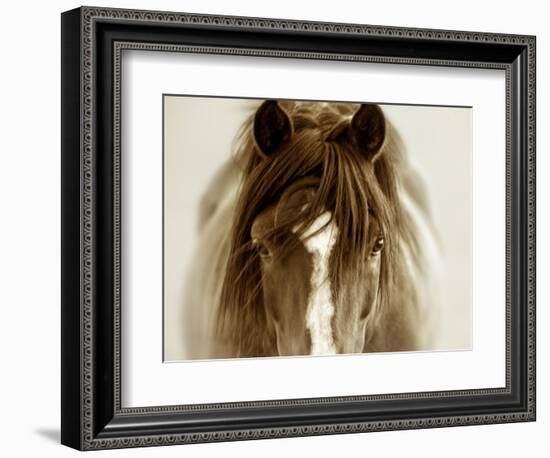 Ghost Horse-Lisa Dearing-Framed Photographic Print