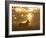 Ghost of the Forest-Greg Morgan-Framed Photographic Print