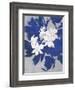 Ghost Orchid 1-Ivo-Framed Art Print