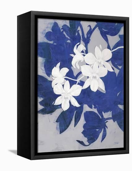 Ghost Orchid 1-Ivo-Framed Stretched Canvas