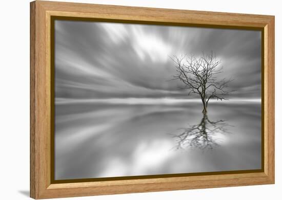 Ghost Tree-Leif Løndal-Framed Premier Image Canvas