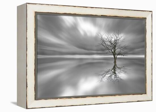 Ghost Tree-Leif Løndal-Framed Premier Image Canvas