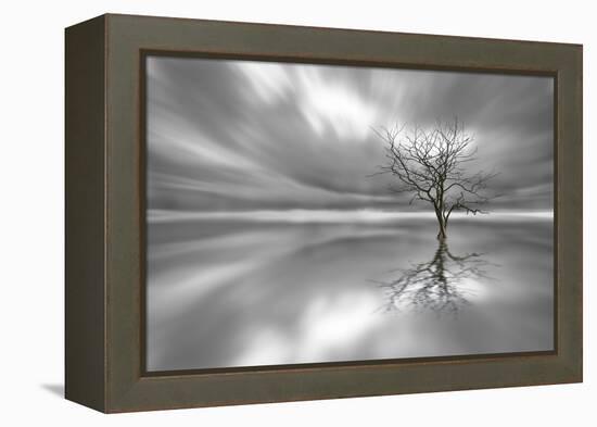 Ghost Tree-Leif Løndal-Framed Premier Image Canvas