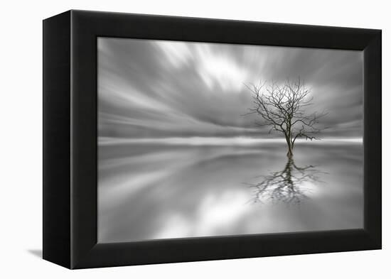 Ghost Tree-Leif Løndal-Framed Premier Image Canvas