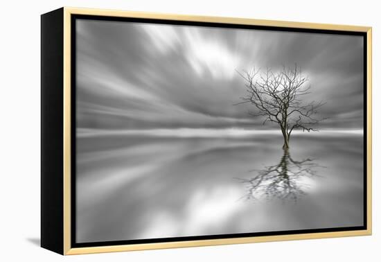 Ghost Tree-Leif Løndal-Framed Premier Image Canvas