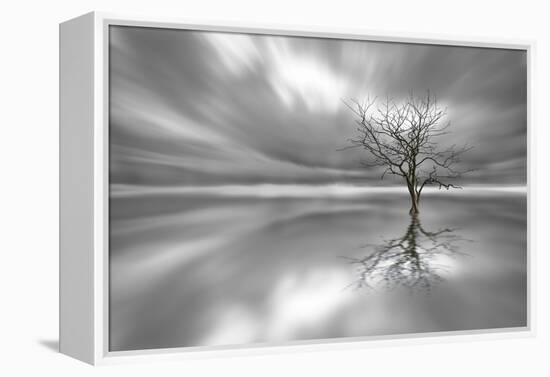 Ghost Tree-Leif Løndal-Framed Premier Image Canvas