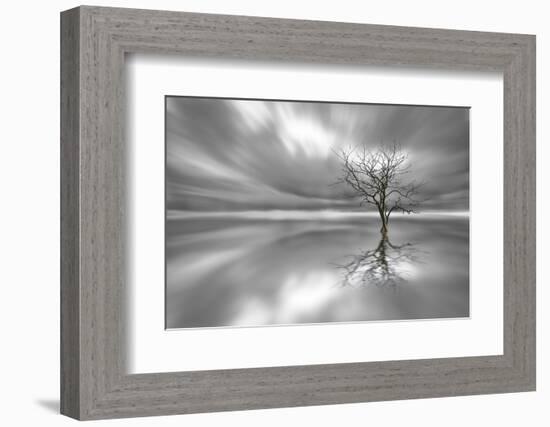 Ghost Tree-Leif Løndal-Framed Photographic Print