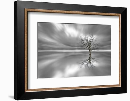 Ghost Tree-Leif Løndal-Framed Photographic Print