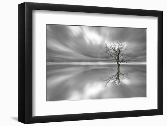 Ghost Tree-Leif Løndal-Framed Photographic Print