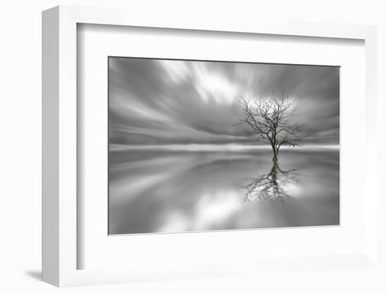 Ghost Tree-Leif Løndal-Framed Photographic Print