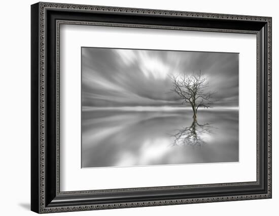 Ghost Tree-Leif Løndal-Framed Photographic Print