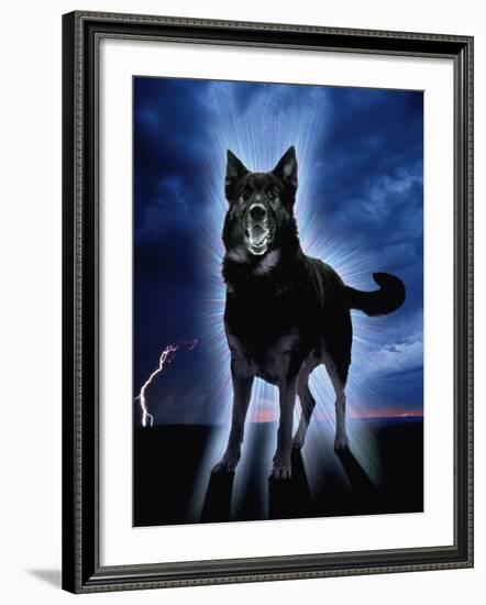 Ghostly Alsation Barking-Jane Burton-Framed Photographic Print