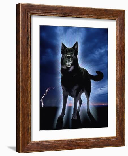 Ghostly Alsation Barking-Jane Burton-Framed Photographic Print