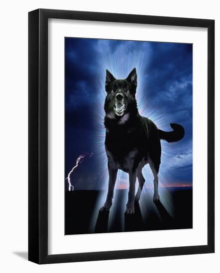 Ghostly Alsation Barking-Jane Burton-Framed Photographic Print