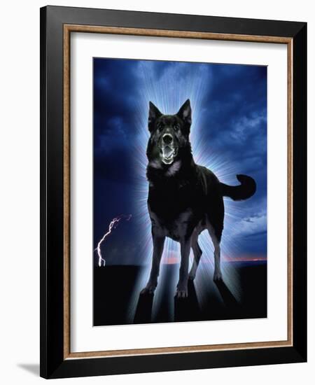 Ghostly Alsation Barking-Jane Burton-Framed Photographic Print