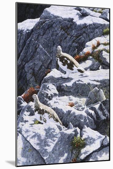 Ghosts of the High Country-Jeff Tift-Mounted Giclee Print