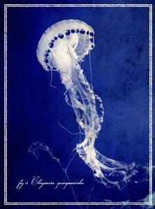 Marine Collection E by GI ArtLab