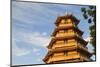 Giac Lam Pagoda, Ho Chi Minh City, Vietnam, Indochina, Southeast Asia, Asia-Ian Trower-Mounted Photographic Print