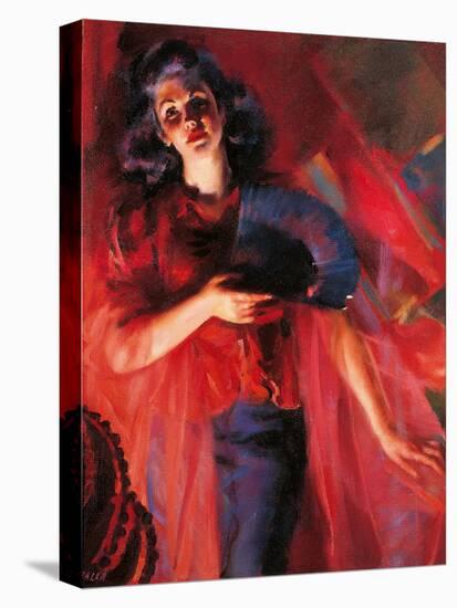 Stretched Canvas Print, , large