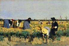 Harvesting Rice in Lowlands of Verona, 1878-Giacomo Favretto-Giclee Print