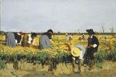 Harvesting Rice in Low Lands of Verona-Giacomo Favretto-Giclee Print