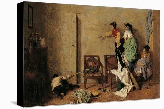 Stretched Canvas Print, , large