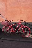 Aarhus, cultural capital in 2017 - bicycle town, art, red bicycle on wall of a house-Gianna Schade-Photographic Print