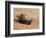 Giant African Land Snail, Tanzania-Charles Sleicher-Framed Photographic Print